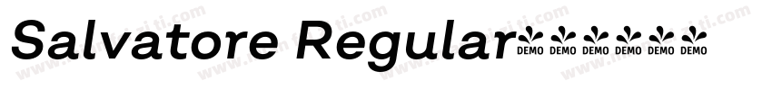 Salvatore Regular字体转换